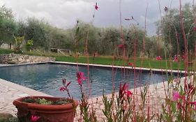 Campo Al Sole